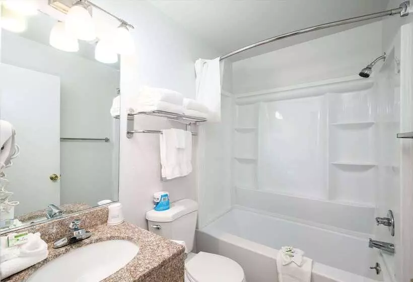 هتل Baymont Inn & Suites By Wyndham