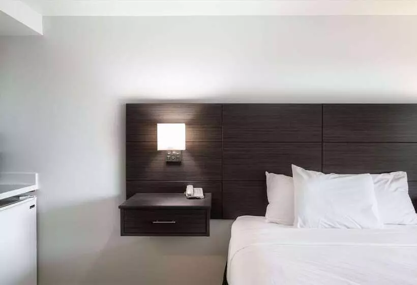 هتل Baymont Inn & Suites By Wyndham