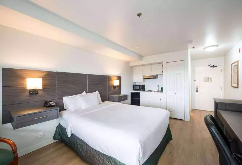 هتل Baymont Inn & Suites By Wyndham