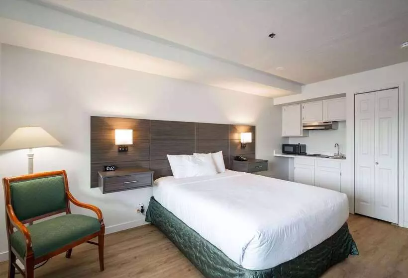 هتل Baymont Inn & Suites By Wyndham