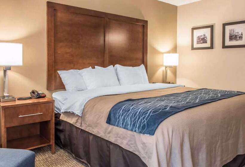 酒店 Spark By Hilton Clarks Summit