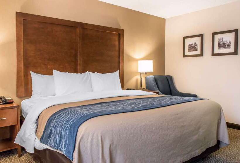 酒店 Spark By Hilton Clarks Summit