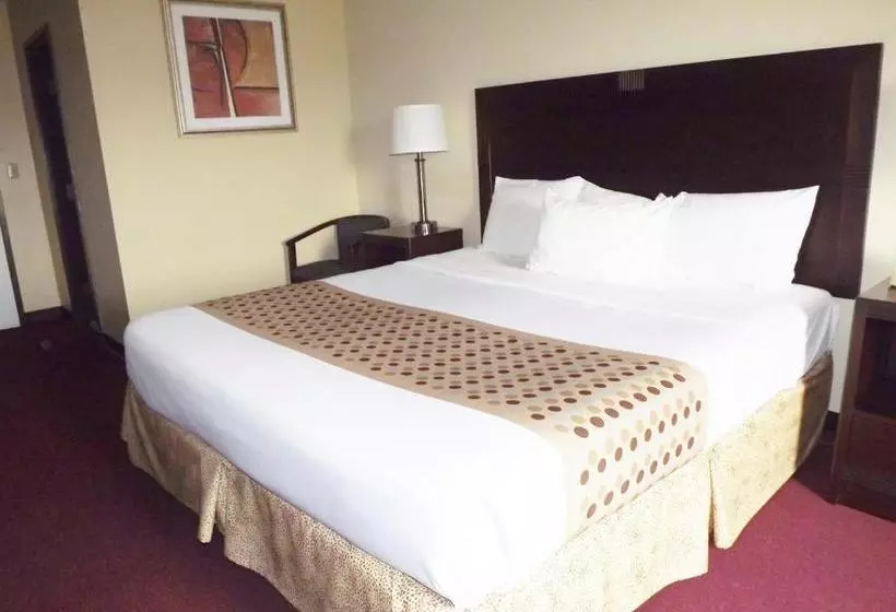 ホテル River Edge Inn