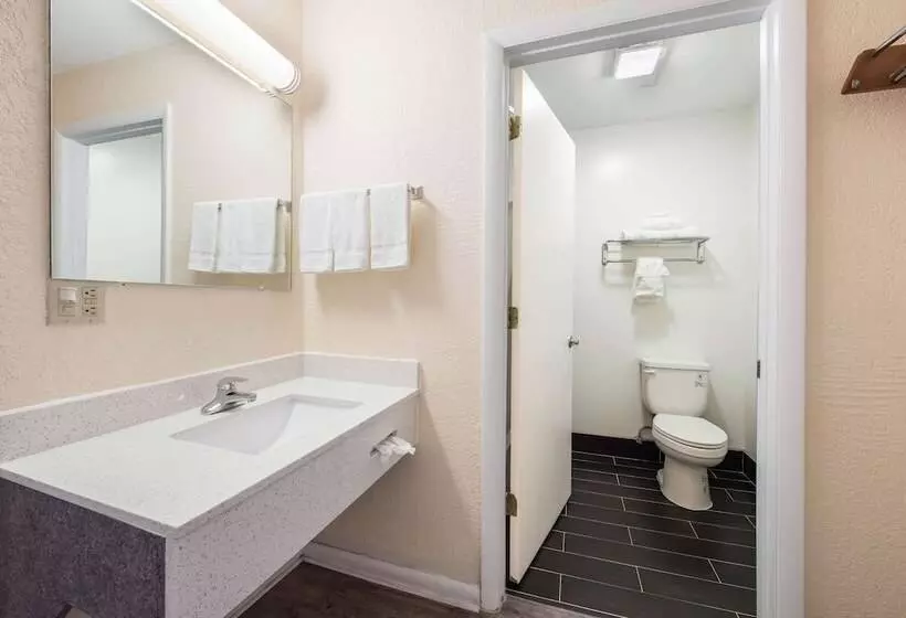 酒店 Econo Lodge Waynesville