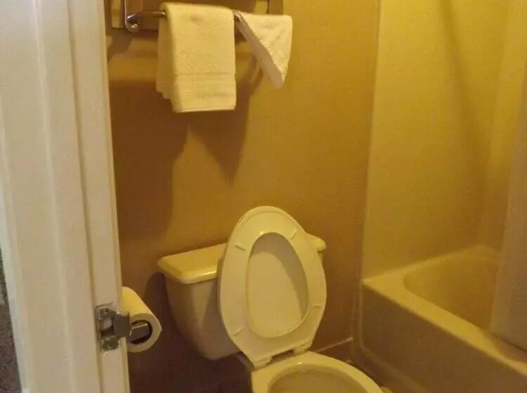 酒店 Executive Inn Kilgore