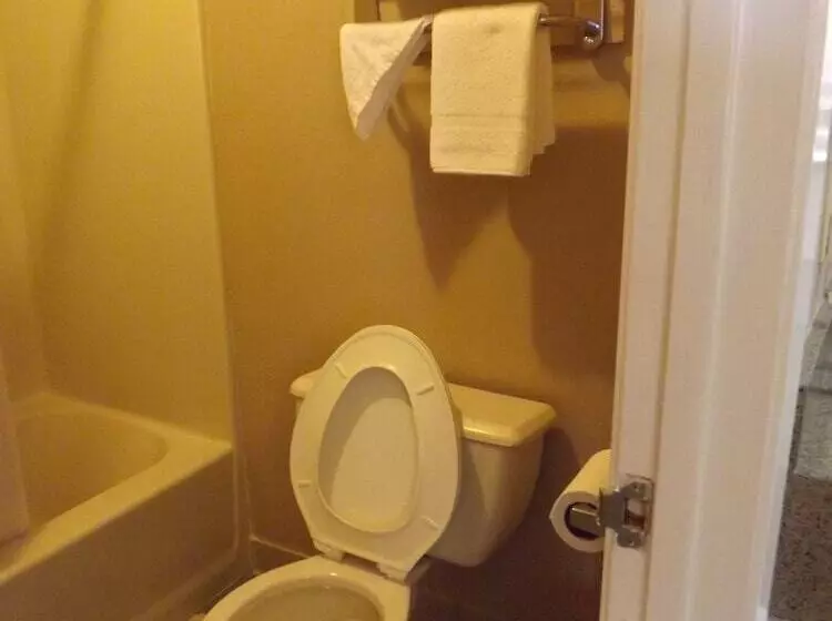 酒店 Executive Inn Kilgore