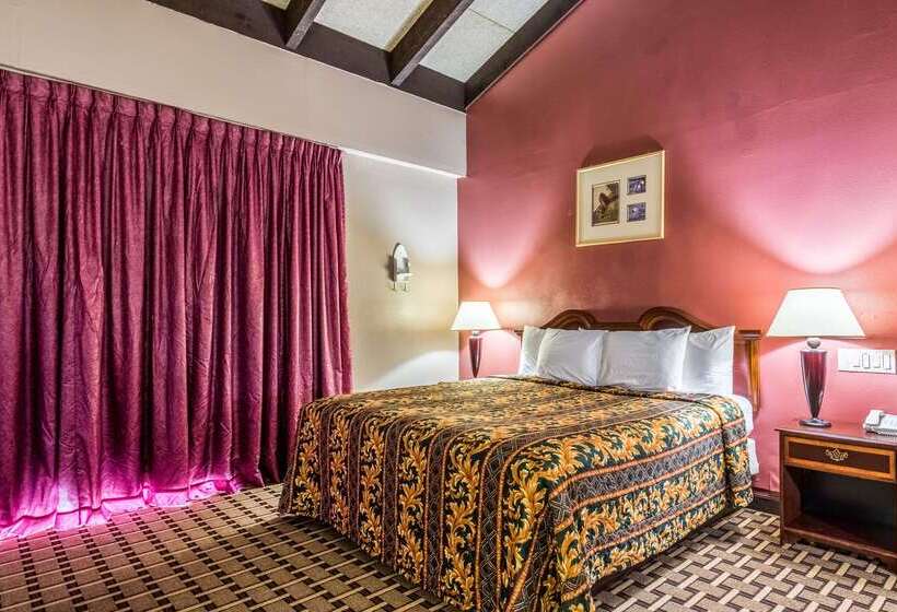 ホテル Rodeway Inn