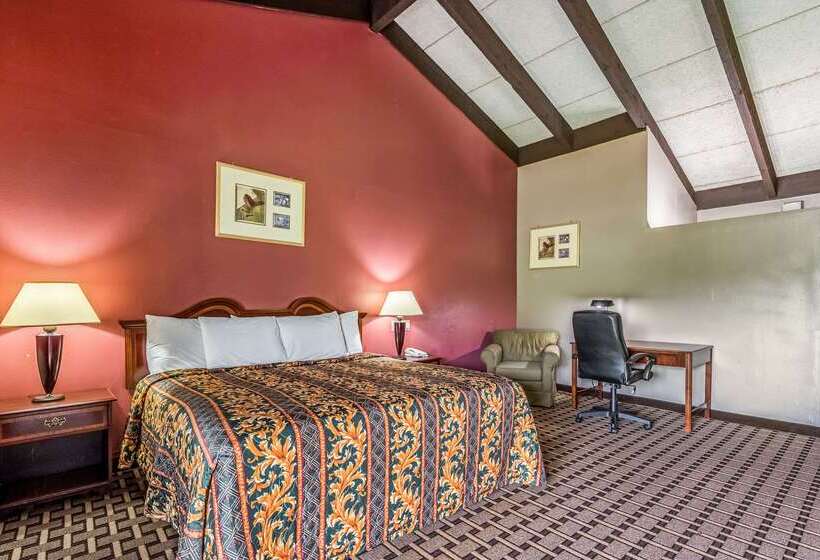 ホテル Rodeway Inn