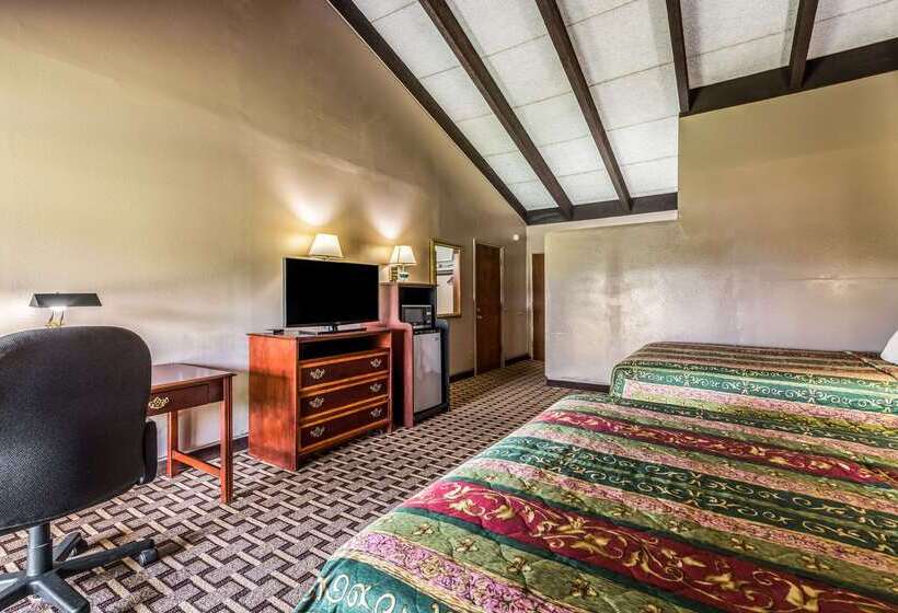 ホテル Rodeway Inn