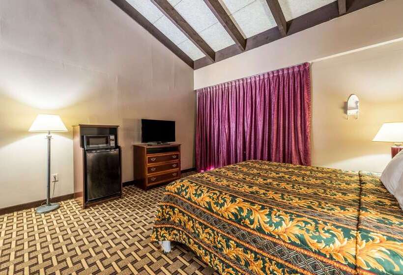 ホテル Rodeway Inn