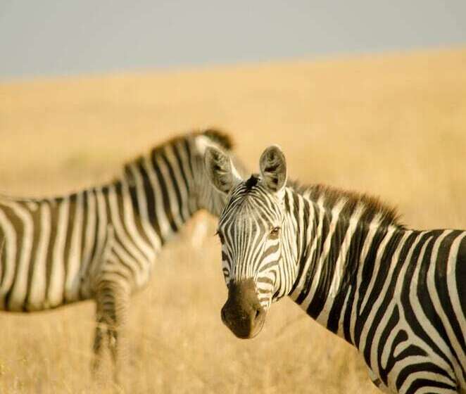 هتل Mawe Luxury Tented Camp