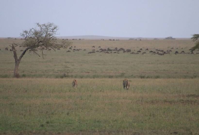 هتل Mawe Luxury Tented Camp