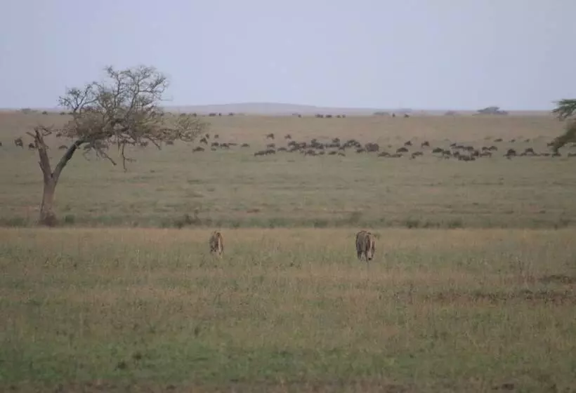 ホテル Mawe Luxury Tented Camp