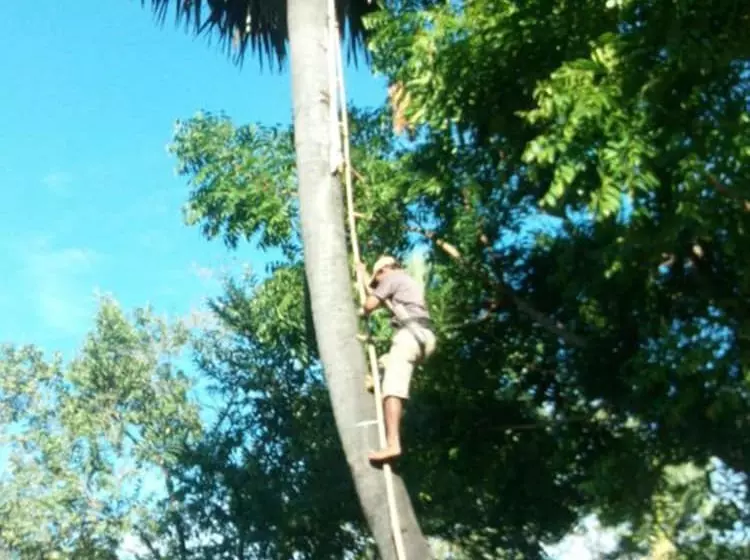 ペンション Sok Phen Homestay