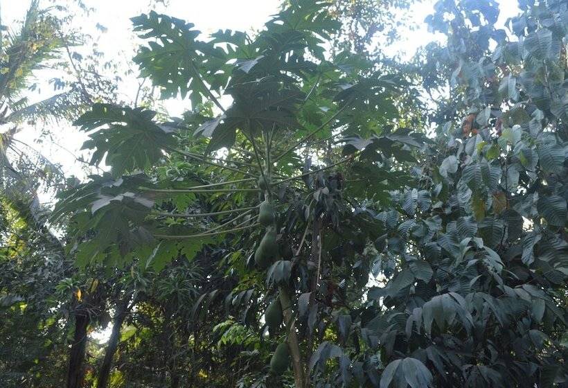 پانسیون Sok Phen Homestay