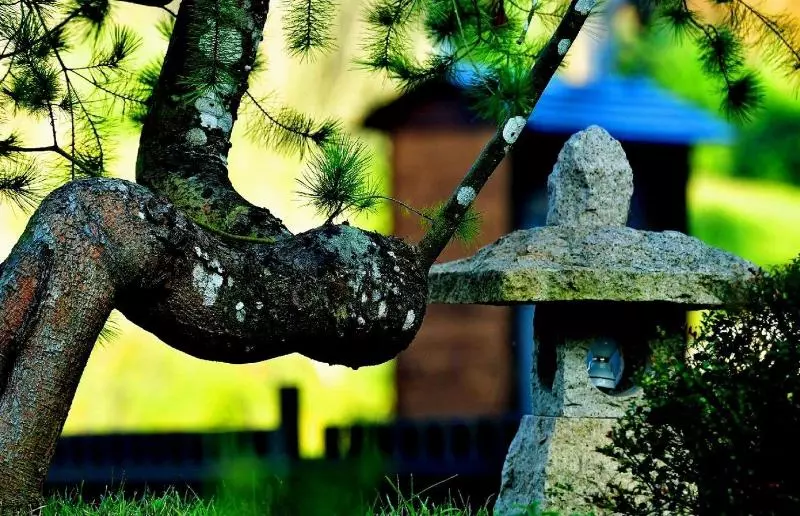 پانسیون Syuan Ding Ben Er Gu