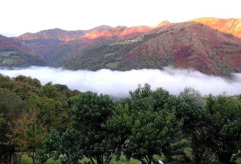 פנסיון Chambres D Hotes Idiartekoborda