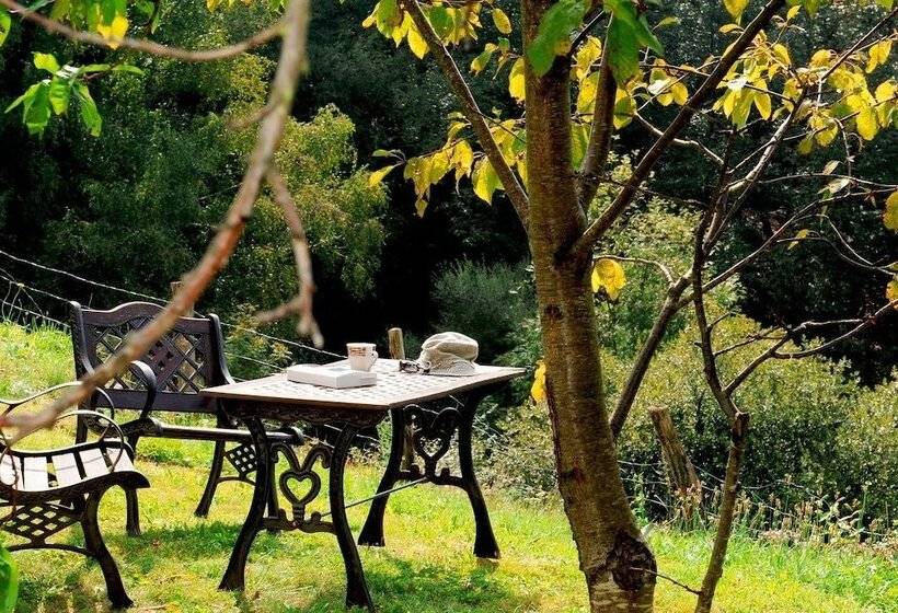 פנסיון Chambres D Hotes Idiartekoborda