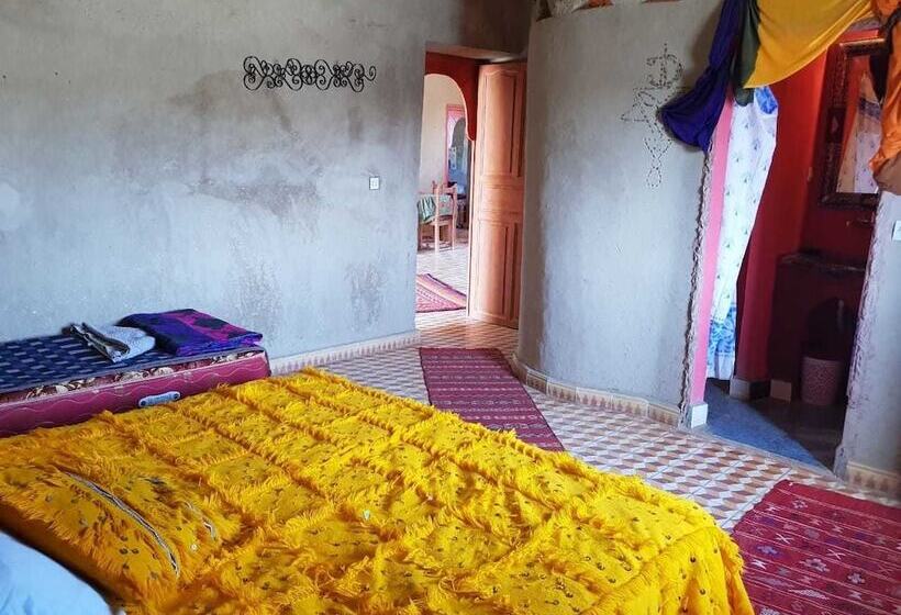 膳宿费 Riad Desert Camel