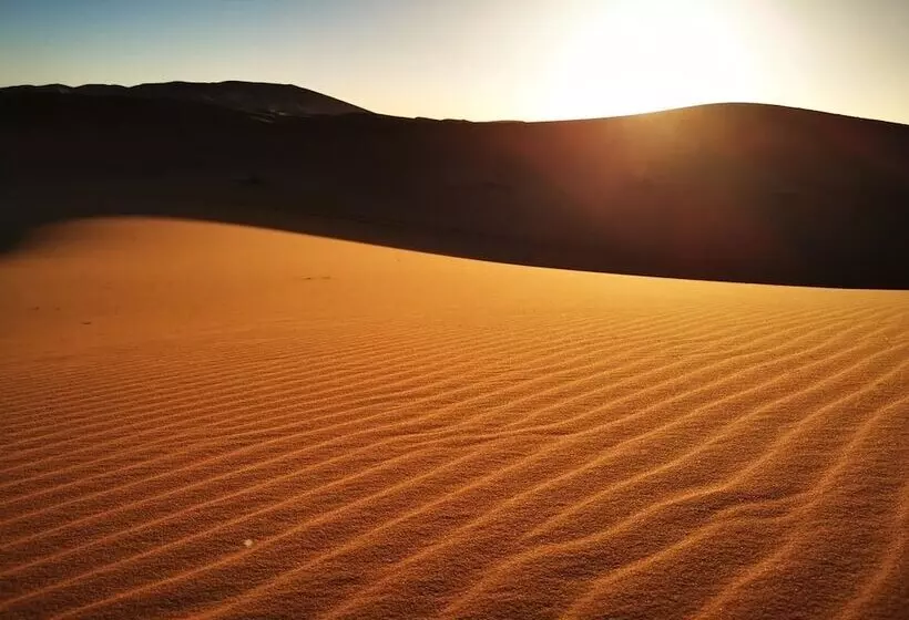 ペンション Riad Desert Camel