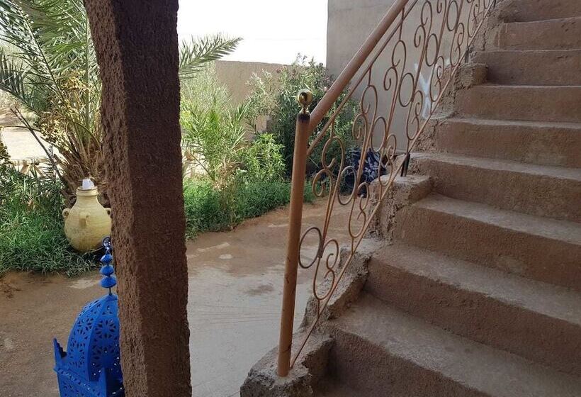 פנסיון Riad Desert Camel