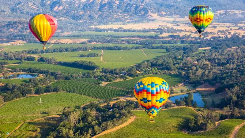 Отель Napa Discovery Inn