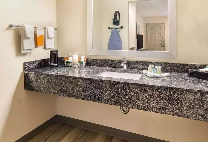 Отель Quality Inn & Suites Dallas Cityplace