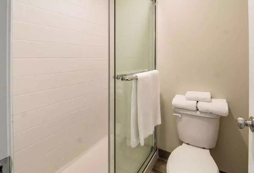 Отель Quality Inn & Suites Dallas Cityplace