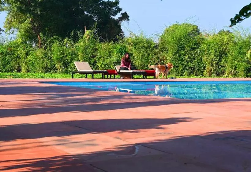 ホテル Motibagh