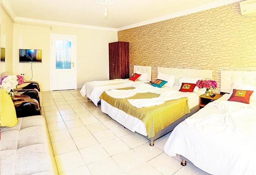 Hotel White Palace Apart  Old City