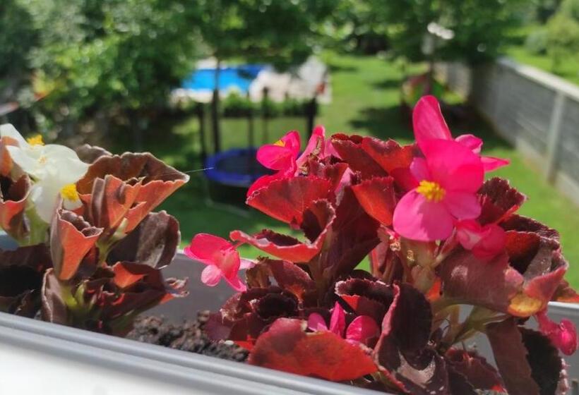 پانسیون Apartman Natura Vita Blagaj