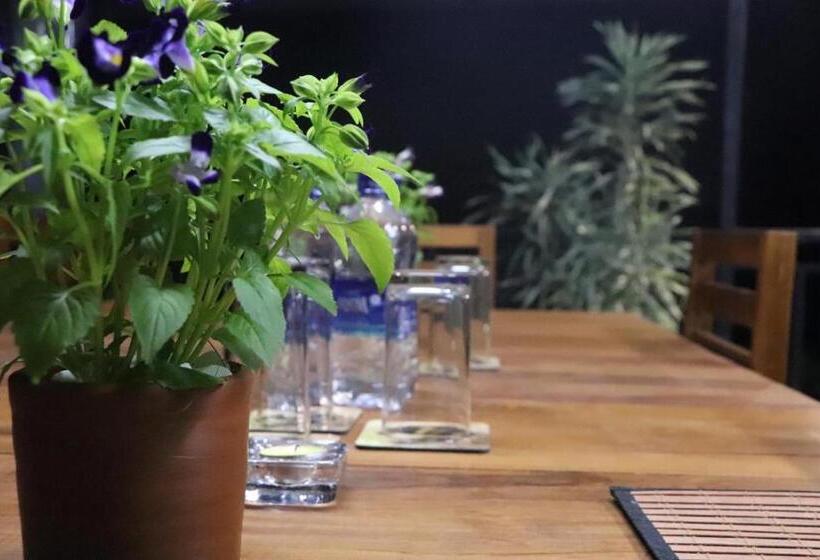 پانسیون Ryan Residence & Restaurant