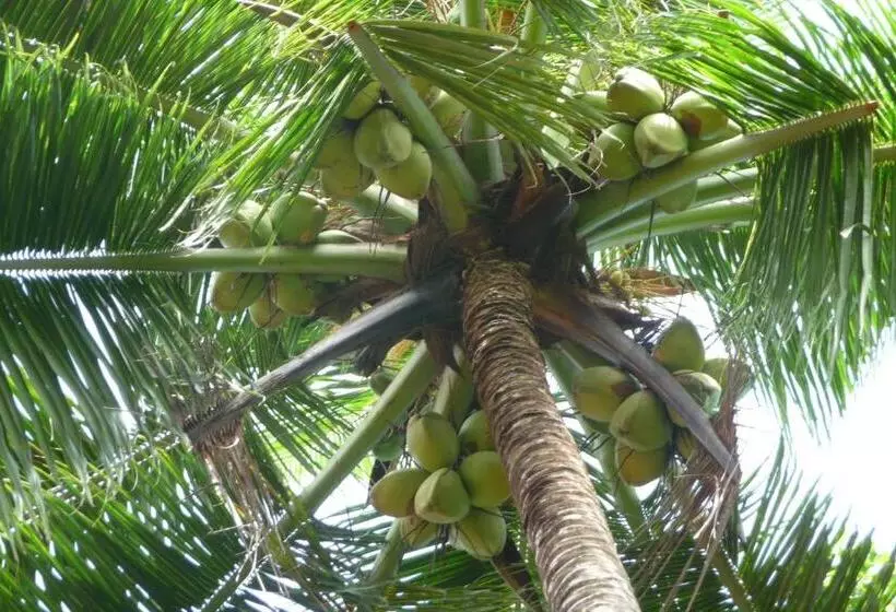 Pension Cinnamon Bungalow