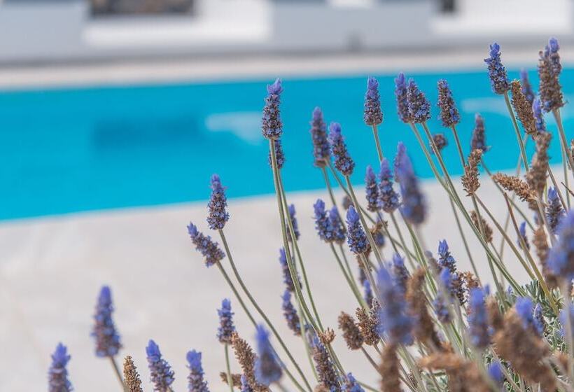 بنسيون Golden Sunrise Suites