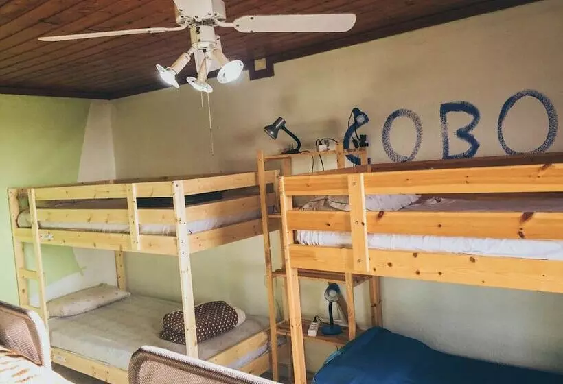 Blue Canary Hostel   Adults Only