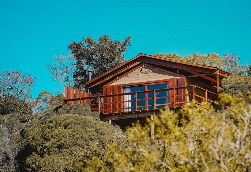 בית מלון כפרי Barefoot Addo Elephant Lodge