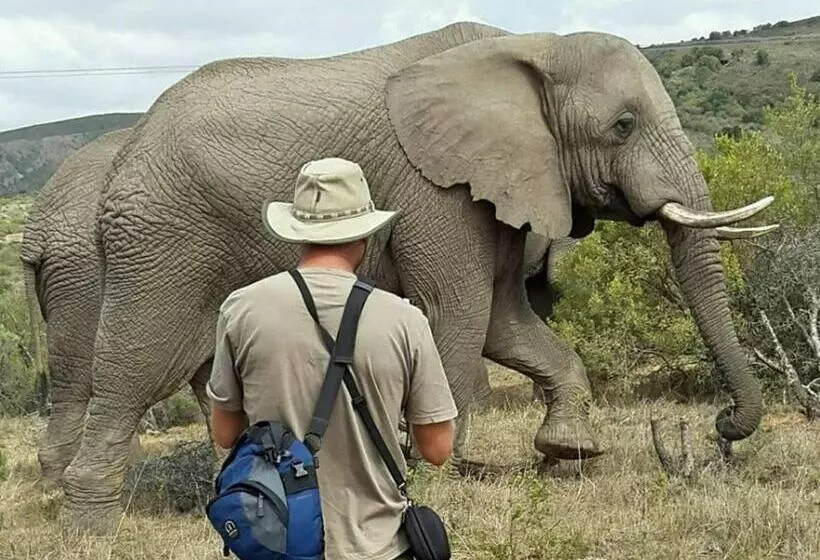 ホテル Barefoot Addo Elephant Lodge