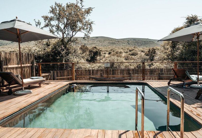 בית מלון כפרי Barefoot Addo Elephant Lodge