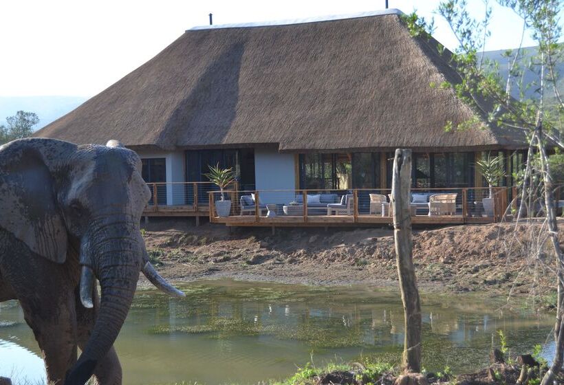 בית מלון כפרי Barefoot Addo Elephant Lodge