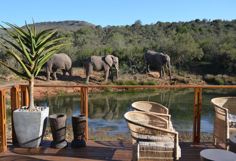בית מלון כפרי Barefoot Addo Elephant Lodge