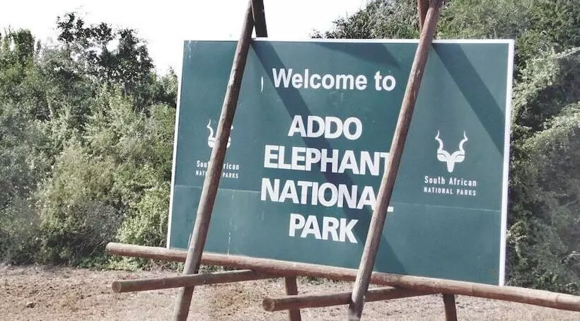 ホテル Barefoot Addo Elephant Lodge