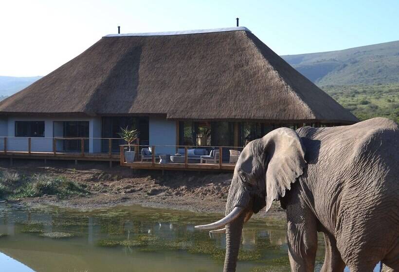 בית מלון כפרי Barefoot Addo Elephant Lodge
