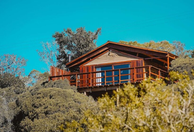 בית מלון כפרי Barefoot Addo Elephant Lodge