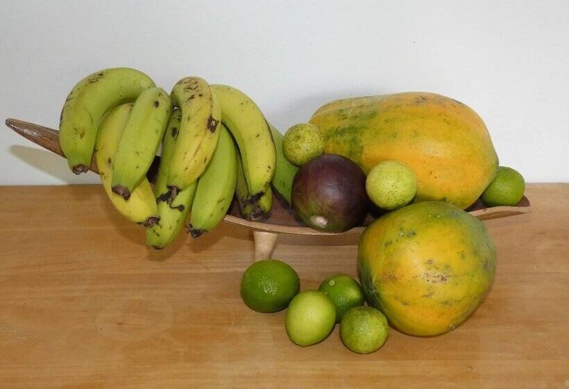 پانسیون Aroa Kainga Bungalows And Apartment