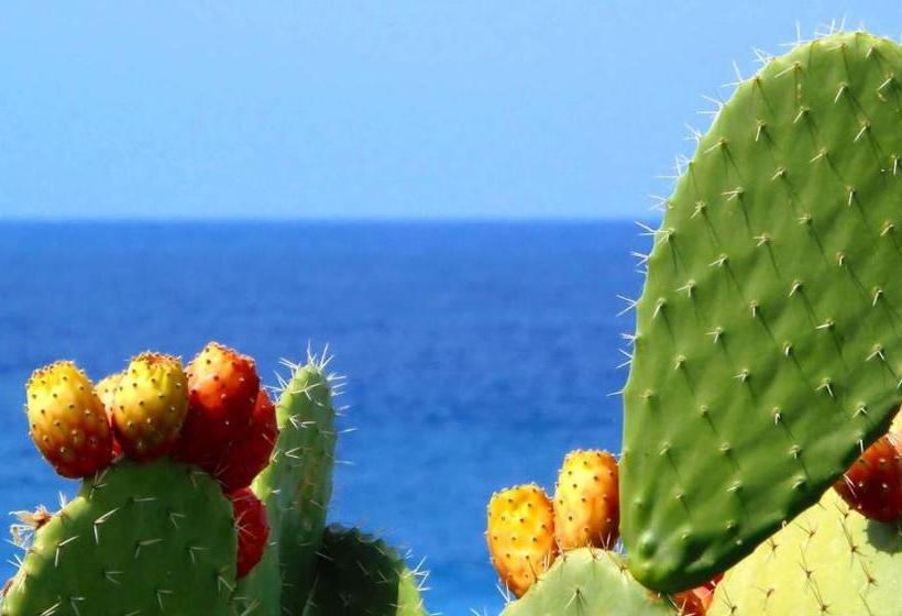 مبيت وإفطار Casa Dante Bed&breakfast