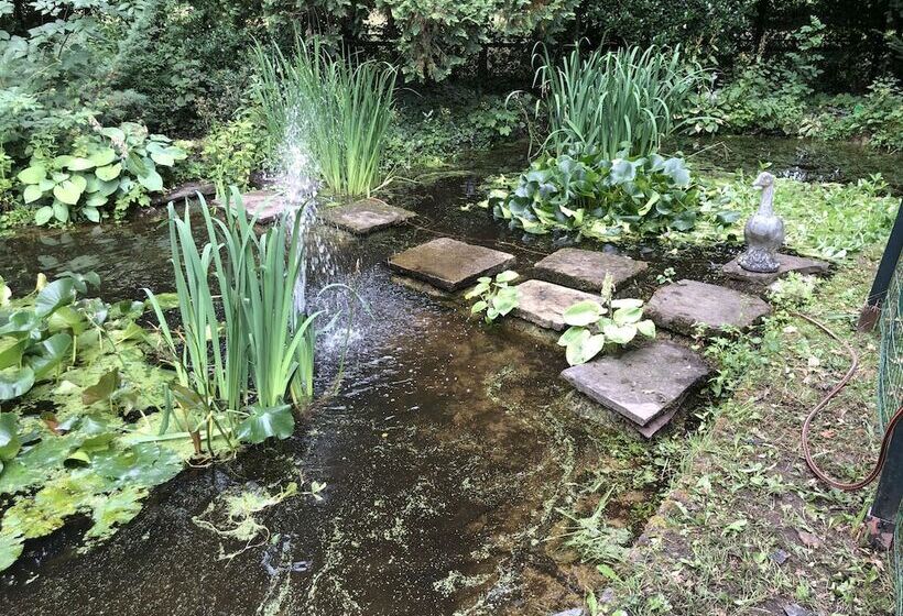 Bed and Breakfast Guesthouse Villa De Eikhof