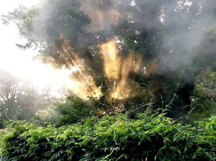 Bed and Breakfast Guesthouse Villa De Eikhof