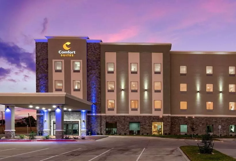 ホテル Comfort Suites Desoto Dallas South