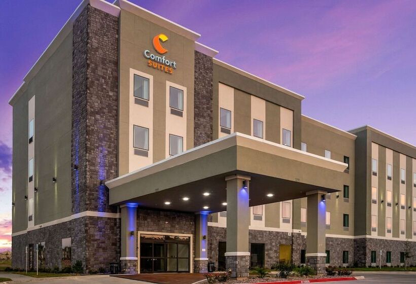 酒店 Comfort Suites Desoto Dallas South
