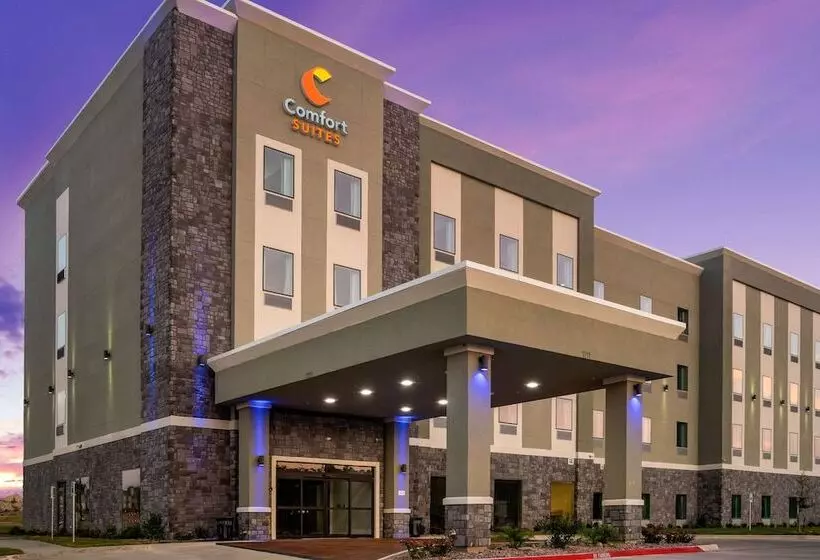 ホテル Comfort Suites Desoto Dallas South